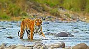 Best Places to See in Jim Corbett National Park