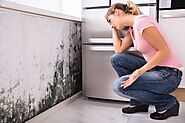 Hire an Experienced Housing Disrepair in Croydon