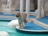 The Mirage - Wikipedia, the free encyclopedia