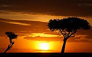 THE Top 10 Kenya Tour Packages in Masai Mara, Amboseli, Samburu, Mt Kenya, Lake Nakuru, Aberdare National Parks
