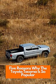 Five Reasons Why The Toyota Tacoma Is So Popular | Toyota of Orange