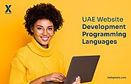 UAE WEBSITE DEVELOPMENT PROGRAMMING LANGUAGES | by HelloPixelsDigital | Mar, 2022 | Medium