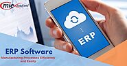 ERP for Manufacturing Company