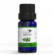 Shop Now! Bulk Thyme Red Essential Oil Online - Essential Natural Oil