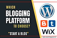 Starting a Blog – Which Blogging Platform To Choose? » Anantvijaysoni.in