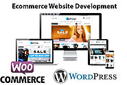 I will develop professional ecommerce online store website