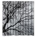 Generic Personalized Black and White Tree Branch for Shower Curtain Bath Curtain 66" x 72"