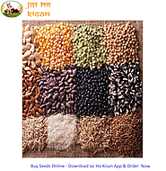 Buy Seeds Online - Vegetable Seeds, Plant Seeds, Fruit Seeds - Jai Ho Kisan