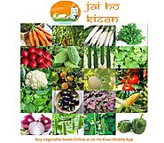 Buy Vegetables Seeds - Seeds Tomato - Seeds Onion - Jai Ho Kisan App