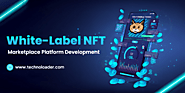 White-Label NFT Marketplace Platform Development - Technoloader