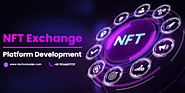 NFT Exchange Platform Development Company - Technoloader