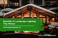 Benefits of Landscape Lighting This Winter | Augusta Green Sprinklers Inc.