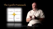 The Cynefin Framework