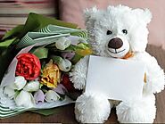 Expressing Apology through a Giant Teddy Bear - by Boo Bear Factory - Boo Bear Factory