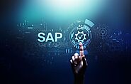Understanding the importance of SAP