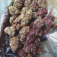 indica strains | marijuana dispensary