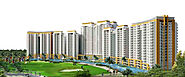 Ace Group - Ace Residential New Project in Noida Extension