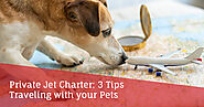 Private Jet Charter: 3 Tips Traveling with your Pets