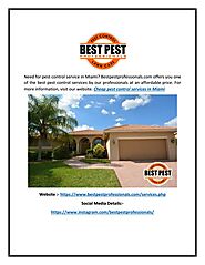 Best Pest Professionals Miami
