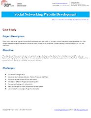 Social Networking Website Development