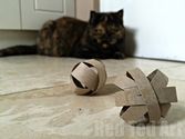 Quick and Easy Cat Crafts