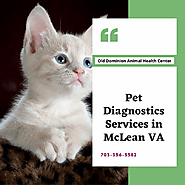 Pet Diagnostics Services in McLean VA