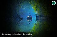 Website at https://www.touristhubindia.com/packages/sundarban-package-tour-booking-with-hotel-sonar-bangla