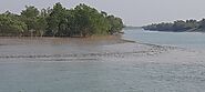 Sundarban Tour 2 night 3 days