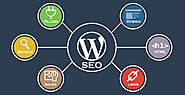 Guide for WordPress SEO - Angel SEO