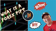 What is a Pip in Forex trading?