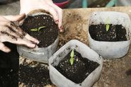 5 Must-Read Organic Gardening Blogs