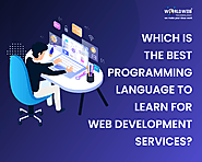 Which Is The Best Programming Language To Learn For Web Development Services?