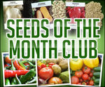 Mike the Gardener`s Seeds of the Month Club