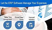 Let the ERP software manage your expenses