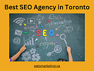 Dominating the Digital Landscape: Your Go-To SEO Agency in Toronto