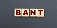 Why BANT Requires an Evolution | Bython Media