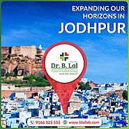 Expanding Our Horizons in Jodhpur