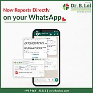 Now Reports Directly on Your WhatsApp