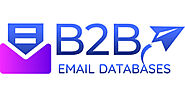 Top B2B Email Database Provider in US and India