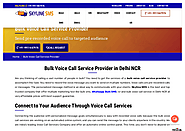 Bulk Voice Call Service Provider