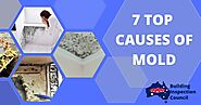 TOP 7 CAUSES OF MOLD IN HOUSES