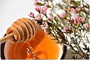 Manuka Honey acquires the most elegant Skin Care routine. | by APURVAM | Jun, 2021 | Medium