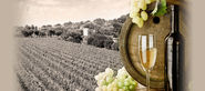 Best Wine Tours in Napa Valley by TeslaTours