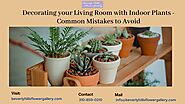Decorating your Living Room with Indoor Plants - Common Mistakes to Avoid