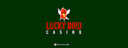 Lucky Bird Casino: 50 No Deposit Spins New No Deposit Casinos