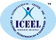 Website at https://www.iceel.net/import-export-international-business-trade.php
