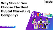 Why Should You Choose The Best Digital Marketing Company?