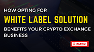 Why A White Label Solution Is Easier Than Building Crypto Exchange from Scratch?