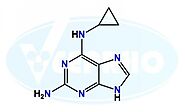 Abacavir Cyclopropyl Diamino Purine Impurity | CAS No.: 120503-69-7
