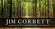 Website at https://www.snaptours.in/jim-corbett-national-park-tour-packages/